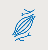 kachelnavi supplemente muskel nerven